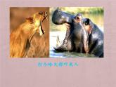 人美版小學(xué)三年級美術(shù)下冊6《大嘴怪》名師課件(共19張PPT)