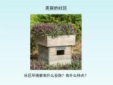 人美版小學(xué)三年級美術(shù)下冊5《我們的社區(qū)》教學(xué)課件(共11張PPT)