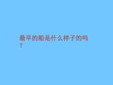 人美版 美術(shù)四年級(jí)上冊(cè) 第17課 我設(shè)計(jì)的船(5) 課件（25張PPT）