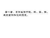 二年級(jí)下冊(cè)美術(shù)-第5課 五味瓶 課件(共15張PPT)人教版
