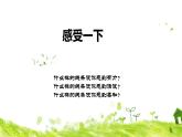 三年級(jí)下冊(cè)美術(shù)課件-3 曲曲直直 人教版（19ppt）