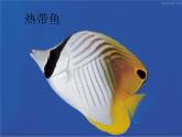 一年級(jí)美術(shù)下冊(cè)課件-14. 剪對(duì)稱魚(yú)形5-湘美版