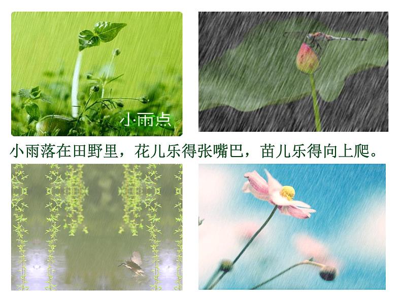 一年级美术下册课件-1. 小雨沙沙7-湘美版第3页