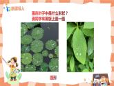 第四課《下雨啦》課件＋教案