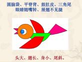 一年級下冊美術(shù)課件 第五課 快樂的小鳥｜嶺南版