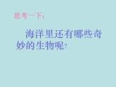 一年级下册美术课件 第二课 海底世界多奇妙｜岭南版 （23张PPT）