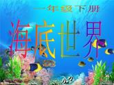 一年级下册美术课件 第二课 海底世界多奇妙｜岭南版 （12张PPT）