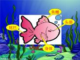 一年级下册美术课件 第二课 海底世界多奇妙｜岭南版 （12张PPT）