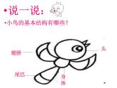 一年級下冊美術(shù)課件 第五課 快樂的小鳥｜嶺南版（23張PPT）