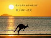 一年級下冊美術(shù)課件-第8課 袋鼠媽媽的口袋（127）-湘美版