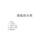一年級下冊美術(shù)課件-第8課 袋鼠媽媽的口袋（150）-湘美版（14張PPT）