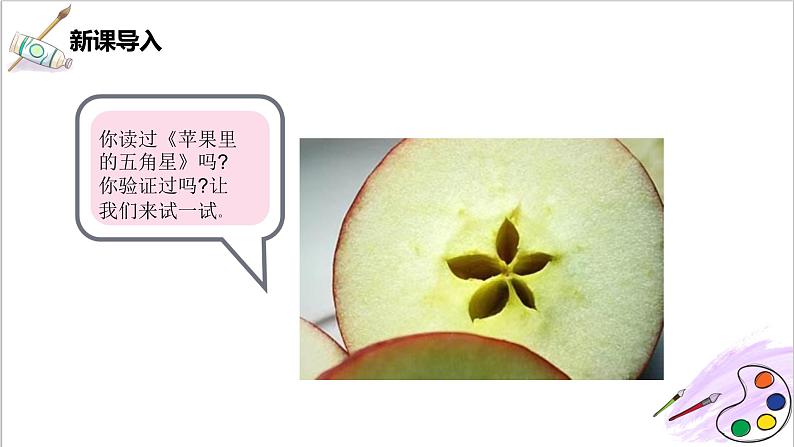 第3课《蔬果的剖面》课件PPT+教案02