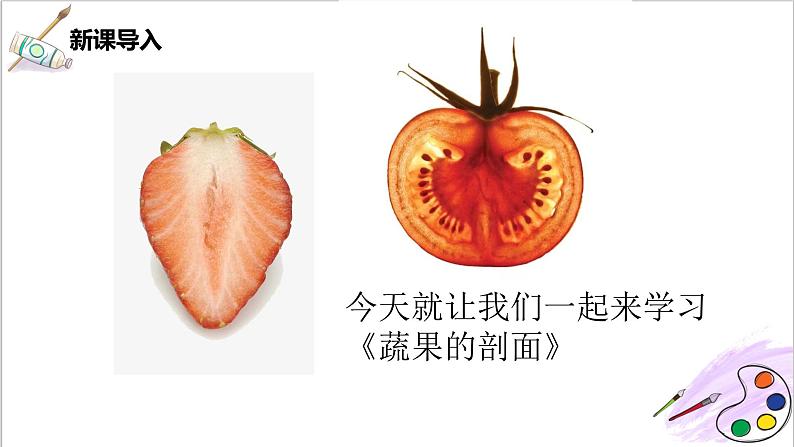 第3课《蔬果的剖面》课件PPT+教案04