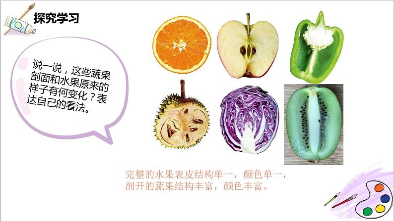 第3课《蔬果的剖面》课件PPT+教案05