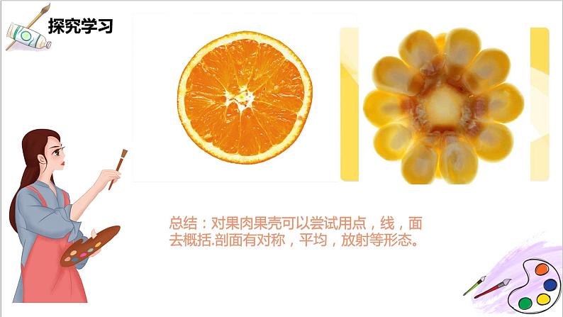 第3课《蔬果的剖面》课件PPT+教案08