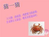 二年级美术上册虾和蟹（一）课件2苏少版