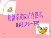 二年级美术上册虾和蟹（一）课件2苏少版