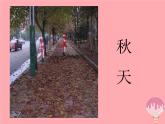 四年級(jí)美術(shù)上冊(cè)第11課城市美容師課件2湘美版