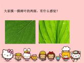 一年級(jí)下冊(cè)美術(shù)課件-第9課 有趣的拓?。?14）-湘美版