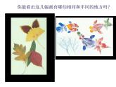 一年級下冊美術(shù)課件-第9課 有趣的拓?。?13）-湘美版（15張PPT）