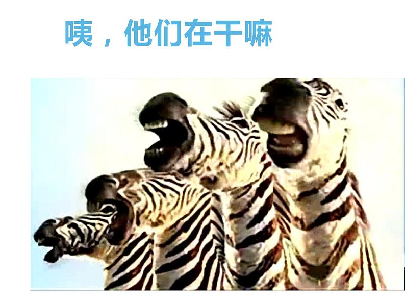 一年级下册美术课件-第12课 动物唱歌的模样（33）-湘美版05