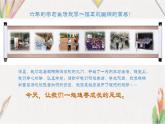 15《我的成長記錄》【課件】
