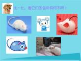 一年級美術(shù)上冊第9課生肖動物大聚會課件2嶺南版