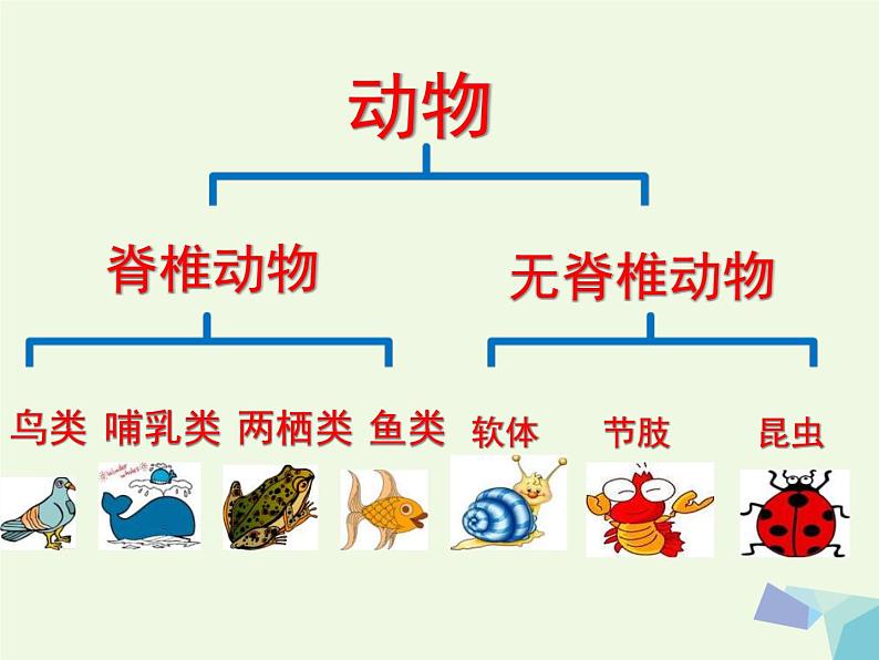 三年级美术上册我的动物朋友课件2苏少版第6页