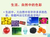 三年級(jí)美術(shù)上冊(cè)第5課繽紛的色彩樂園課件2嶺南版