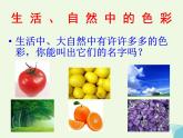三年級(jí)美術(shù)上冊(cè)第5課繽紛的色彩樂園課件4嶺南版