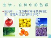 三年級(jí)美術(shù)上冊(cè)第5課繽紛的色彩樂園課件1嶺南版