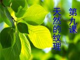 三年级美术上册第9课天然的纹理课件1新人教版