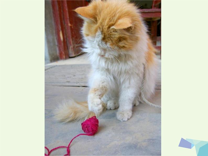 一年级美术上册第2课绕绕涂涂课件4湘美版02