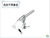 一年級美術(shù)上冊第21課鳥語花香課件2湘美版