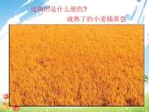 一年級美術(shù)上冊第3課田野的色彩課件2湘美版