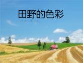 一年級美術(shù)上冊第3課田野的色彩課件1湘美版