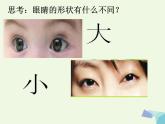 一年級美術(shù)上冊第4課大眼睛課件1湘美版