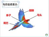 一年級美術(shù)上冊第21課鳥語花香課件3湘美版