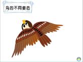 一年級美術(shù)上冊第21課鳥語花香課件3湘美版