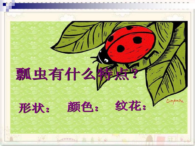 人教版小学一年级美术下册 第8课　瓢虫的花衣裳 课件第4页