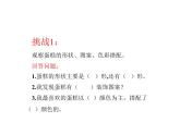 人教版小學(xué)一年級(jí)美術(shù)下冊(cè) 第4課 分一分 變一變(6) 課件