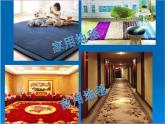人教版小學(xué)一年級(jí)美術(shù)下冊 第3課 花地毯(3) 課件