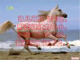 二年级上册美术课件第11课 装饰的骏马｜沪教版