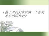 二年级下册美术课件-第9课 小草小草我爱你｜辽海版