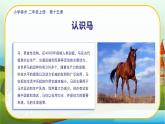 美術(shù)人教版二年級(jí)上冊 第15課《我和馬兒在一起》課件+教案