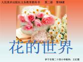 小学美术人美版 一年级下册 19花的世界 课件