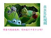 小學美術人美版 一年級下冊 10我和昆蟲 1 課件