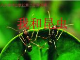 小學美術人美版 一年級下冊 10我和昆蟲 1 課件