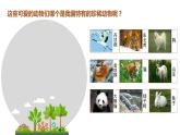 小學美術人美版 一年級下冊 12可愛的動物 課件