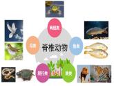 小學美術人美版 一年級下冊 12可愛的動物 課件